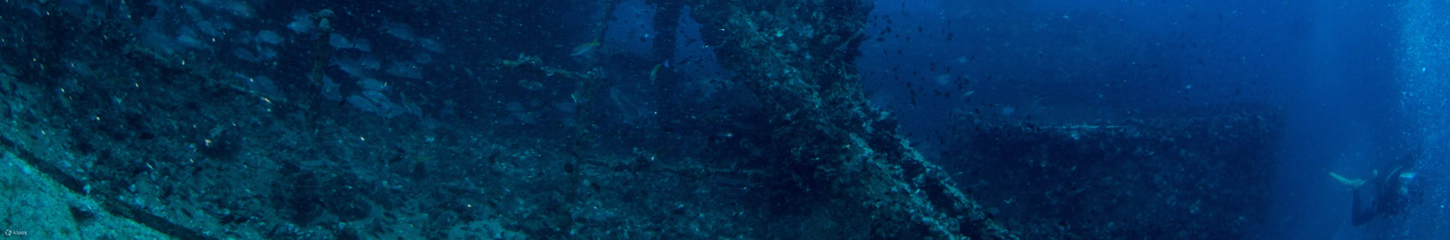 Full-Day Dive Trip [3 dives]